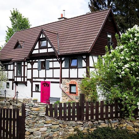 Za Rozowymi Drzwiami Villa Jelenia Gora Dış mekan fotoğraf