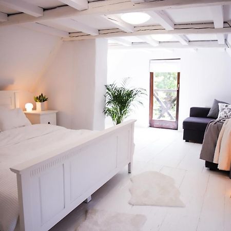 Za Rozowymi Drzwiami Villa Jelenia Gora Dış mekan fotoğraf