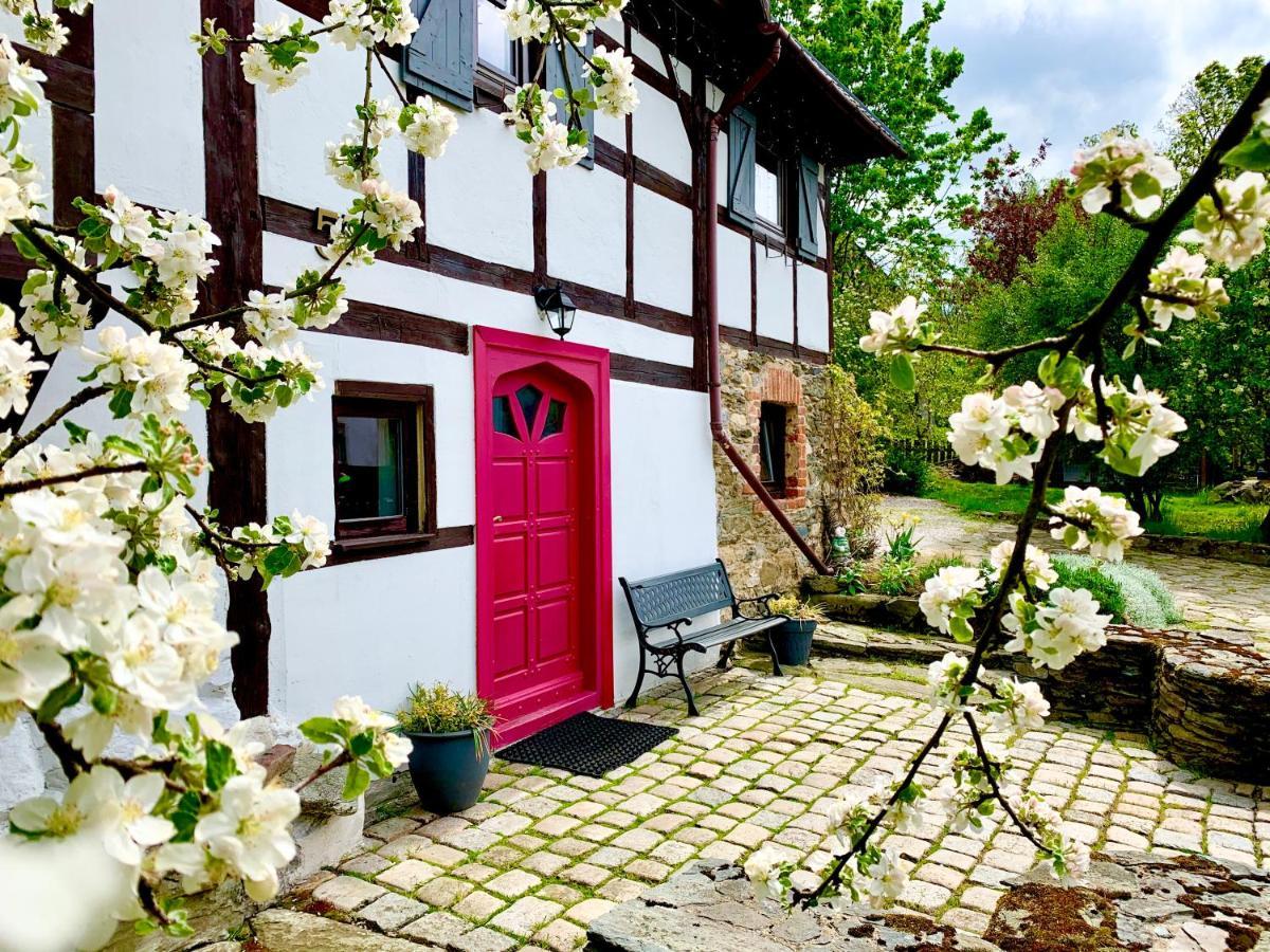 Za Rozowymi Drzwiami Villa Jelenia Gora Dış mekan fotoğraf