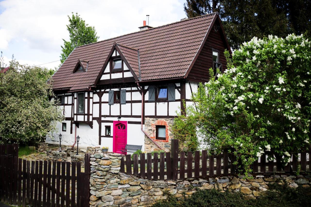 Za Rozowymi Drzwiami Villa Jelenia Gora Dış mekan fotoğraf